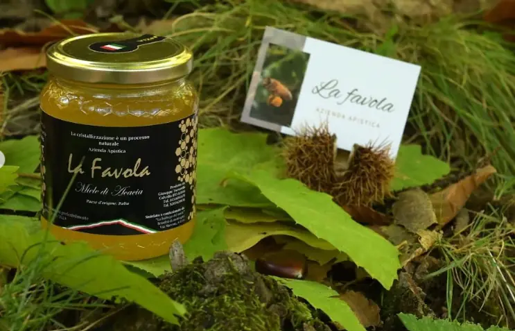 Vasetto di Miele di Acacia La Favola nel sottobosco