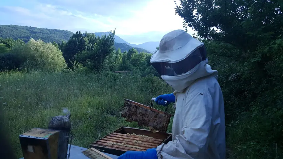Apiario in montagna: un apicoltore con un telaino, sullo sfondo le cime dell'Appennino lucano